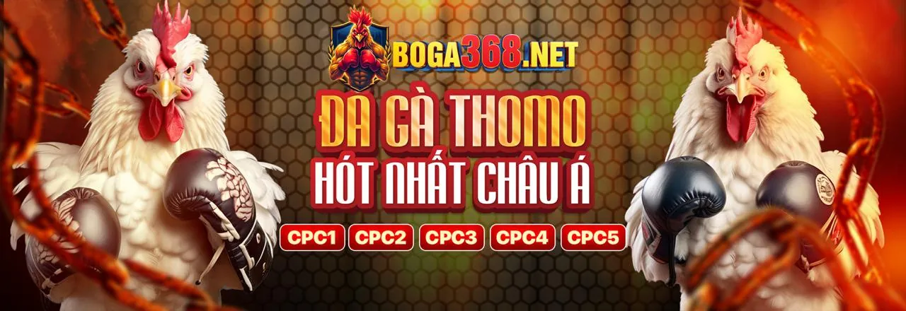 Hình ảnh giới thiệu về thương hiệu giải trí trực tuyến Nuhu90